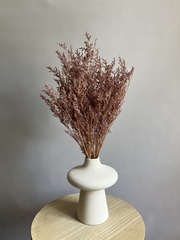 Кермек коричневый