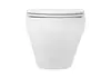 Aquatek SET Aquatek ЛЕЯ cm-011 4в1 SET Aquatek ЛЕЯ-011 4в1 (рама Aquatek Standard INS-0000012+крепеж KKI-0000002+клавиша KDI-0000011+унитаз ЛЕЯ AQ1199-00 с тонким сиденьем soft-close)