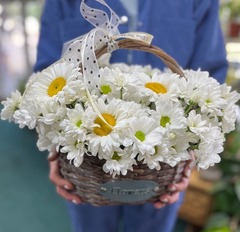 Корзинка ромашек