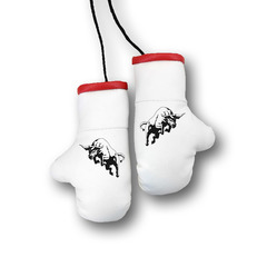 Перчатки боксерские комбинированные "Яростный бык", белые с красным