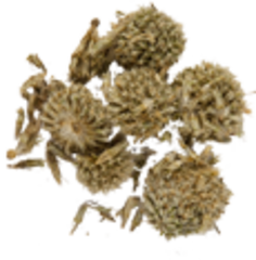 Мордовник обыкновенный (семена , 50гр.)