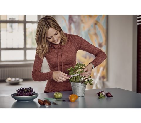 Набор ножей Victorinox Fresh Energy SE 2020 (6.7116.L20)