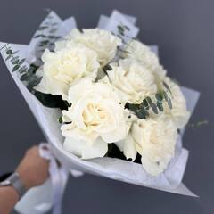 Французские розы Mondial