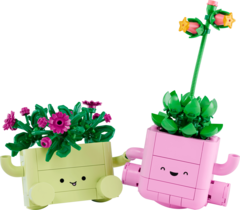 Конструктор LEGO Botanical Collection 11506 Rocking Plants