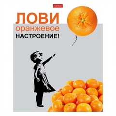 Тетрадь А5 96л клетка 