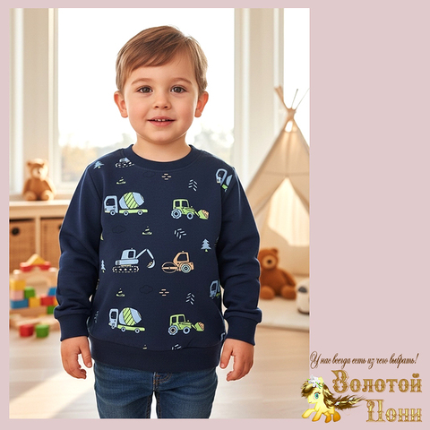 Свитшот трикотаж м (74-98) 251205-Y5111