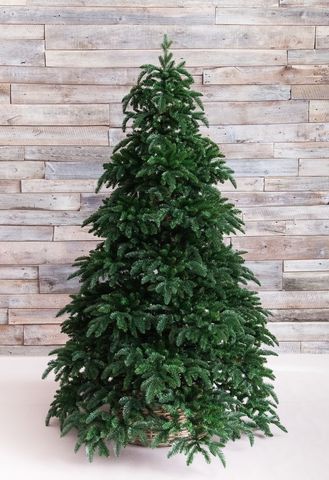 Ель Нормандия 185см темно-темно зеленая Triumph Tree