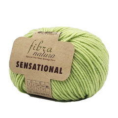Пряжа Fibra Natura Sensational (40830)