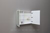 Aquanet 341427 Зеркальный шкаф Оптима (Optima) 100х80 LED (341427)