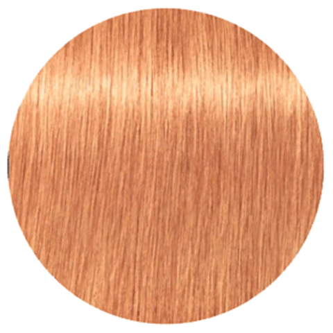 Schwarzkopf Igora Royal New 9,5-17 (Светлый блондин сандрэ медный) - Краска для волос
