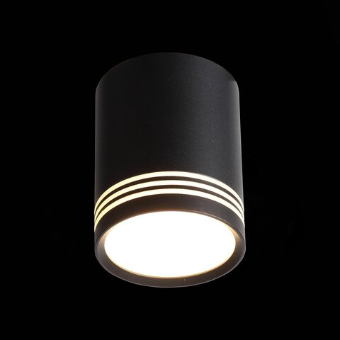 Светильник потолочный ST Luce Cerione ST101.442.12