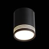Светильник потолочный ST Luce Cerione ST101.442.12