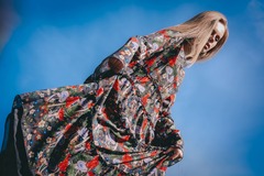 Forest notes (Kolomenskoye)