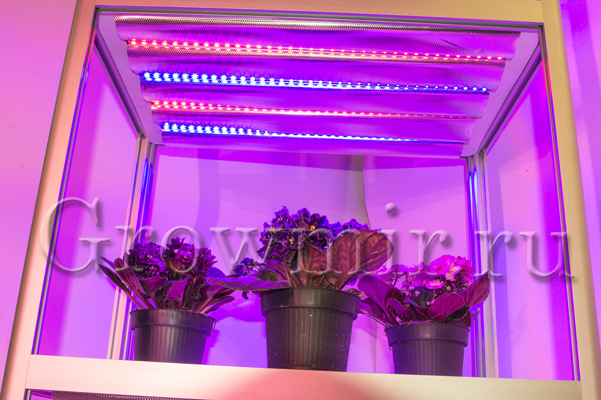 Стеллаж для растений 40x60x190 c LED лампами по 30 W - Гроушоп GrowMir