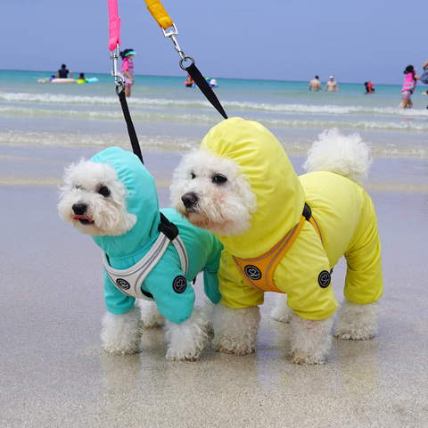 004 SO - Шлейка для собак 