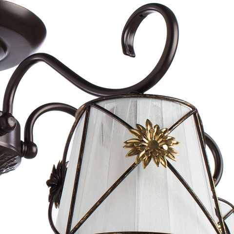Люстра Arte Lamp Fortuna A5495PL-5BR