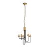 Люстра подвесная ST Luce Delavera SL336.303.05