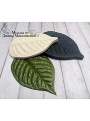 Молд пластиковый+вайнер силиконовый ВБ-74 лист универсальный