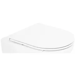 BelBagno BB8001SC Сиденье дюропластовое с быстросъёмными петлями, механизмом Soft Close фото