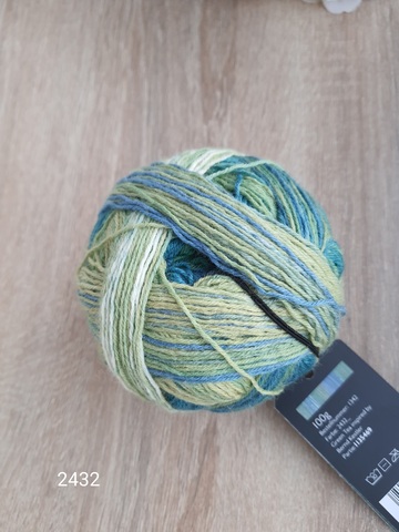 Schoppel Wunderklecks 2432