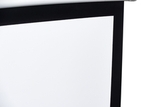 Экран S'OK SCPSM-221x125 100''  настенно-потолочный, моторизованный, матовый, белый
