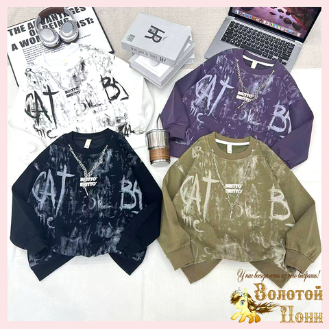 Свитшот хлопок м (5-10) 251026-А808