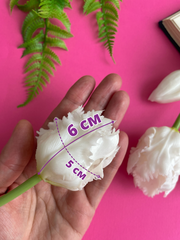 Тюльпаны силиконовые как настоящие, Волнистый край, качество ПРЕМИУМ, Белые, высота 40 см, букет 5 штук.