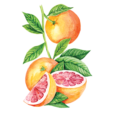Сироп Грейпфрут ProffSyrup