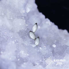 Leaflet v.2 White Shell