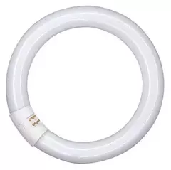 Лампа OS L 22W/840 C G10Q