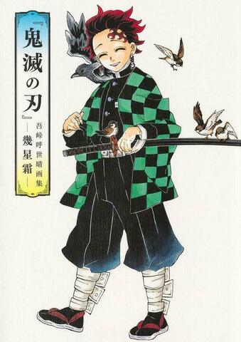 Артбук Demon Slayer: Kimetsu no Yaiba (Gotoge Koyoharu: «Many Months and Years​») (На Японском языке)