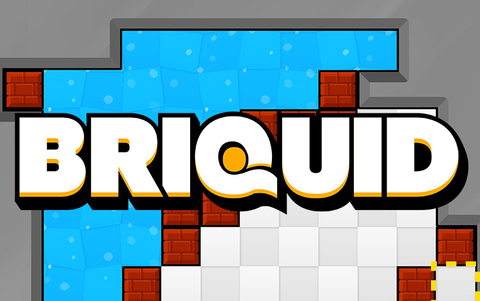 Briquid (для ПК, цифровой код доступа)