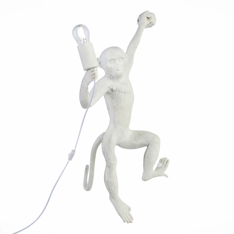 Светильник настенный Evoluce Tenato SLE115111-01