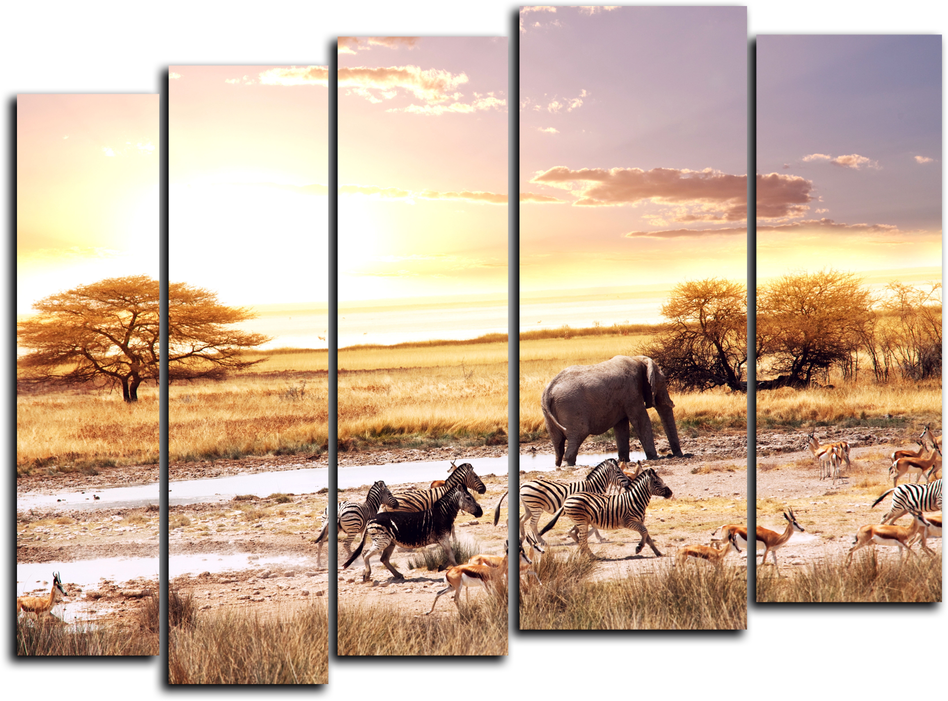 Природа Модульная картина "Животные Африки" М785.png