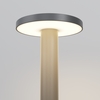 Ландшафтный светильник Maytoni Wald O420FL-L12GF