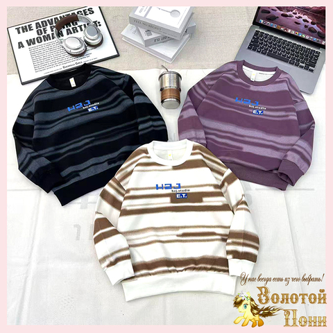 Свитшот хлопок м (5-10) 251026-А810