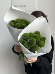 Охапка диантусов в зеленом оттенке сорта Грин трик 10 шт