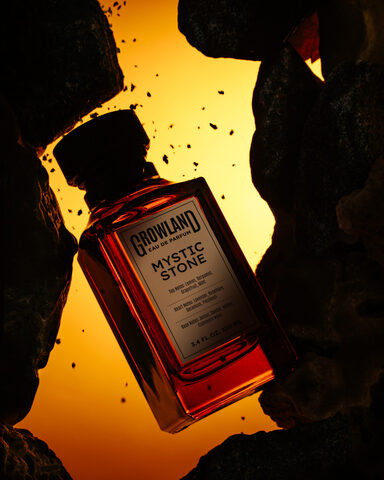 Dilis THE GROWLAND Парфюмерная вода д/муж MYSTIC STONE (784)100мл