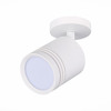Светильник потолочный ST Luce Cerione ST101.572.05