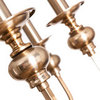 Люстра Arte Lamp Passoni A6097LM-8PB