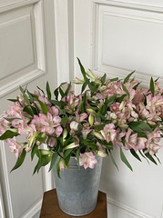 Альстромерия в розовом оттенке