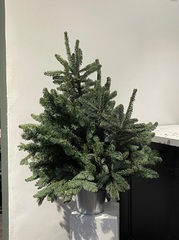 Елка декоративная h-100см