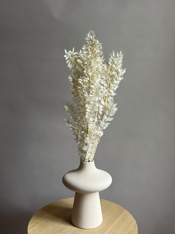 Рускус выбеленный