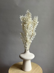 Рускус выбеленный