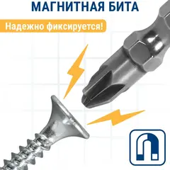 Бита отверточная ПРАКТИКА Профи двусторонняя PZ/FL1-PZ/FL2 х 65мм (2шт) (906-821)