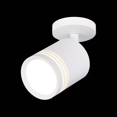 Светильник потолочный ST Luce Cerione ST101.572.05