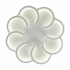 Светильник потолочный Evoluce Bonn SLE200502-08