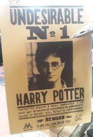 Harry Potter/Undesirable №1