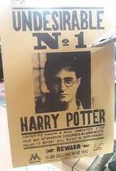 Harry Potter/Undesirable №1