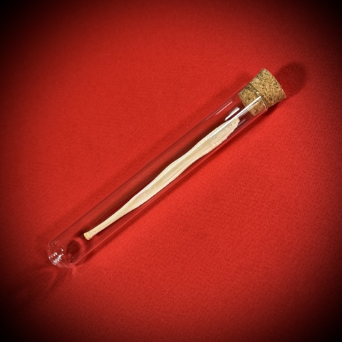 Бакулюм волка в стеклянной колбе